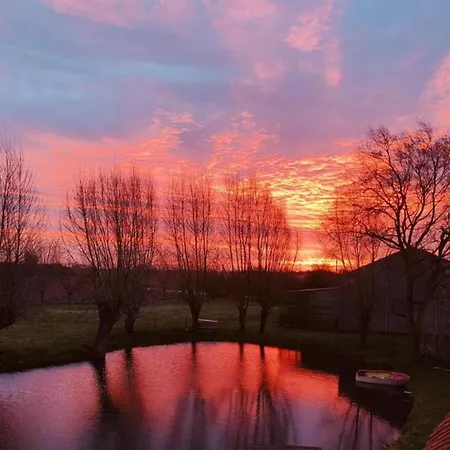 In Near The * 니우포르트