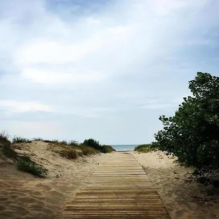 In Near The 아파트 니우포르트